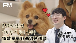 [동물병원 기획자들③] 공감은 브랜딩이 된다 - 보호자 마음을 읽는 콘텐츠의 힘