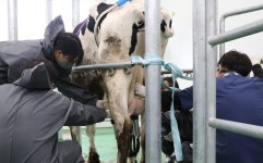 ‘농장동물 임상 실습은 여름 평창으로’ 교육생 모집..5월 30일까지
