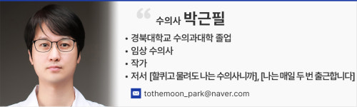 [칼럼] 나는 왜 작가가 되었을까? 진료실 너머의 나를 찾아서 : 박근필①