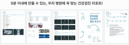 버디랩스, ‘검진 리포트 자동생성’ 반려동물 건강검진 플랫폼 ‘버디닥’ 출시