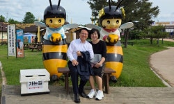 다시 만난 꿀벌 수의사 부부 “꿀벌 돌보는 건 지구를 보듬는 것”