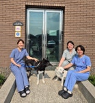 [어드벳(VET)쳐:동물보호단체 수의사라는 모험] 카라동물병원 김현정·전수진·설윤지 수의사