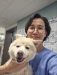 [어드벳(VET)쳐:동물보호단체 수의사라는 모험] 카라동물병원 김현정·전수진·설윤지 수의사