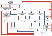 WE ARE ALL CONNECTED-반려동물 질환의 식이관리 ‘축’, 그리고 원헬스적 접근법
