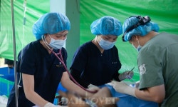 서울대 수의대 팔라스, 스리랑카에서 18번째 해외동물의봉사 펼쳐