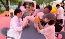 서울시수의사회, 마포구 댕댕이 한복패션쇼 참여..반려동물 건강상담
