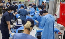 국경없는수의사회, 파주에서 중성화수술 봉사활동 펼쳐