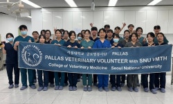 서울대 수의대 팔라스, 보호소 구조견 대상 중성화수술 봉사