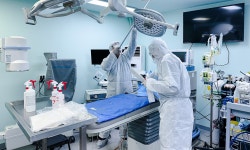 동물병원 전문 소독 중요성 증가..벳아너스, 코덱소와 MOU 체결