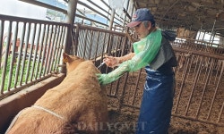 ‘농장동물임상의 꽃’은 산과..전남대 오기석 명예교수, 산업동물수의사 진로특강 진행