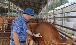 ‘농장동물임상의 꽃’은 산과..전남대 오기석 명예교수, 산업동물수의사 진로특강 진행
