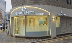 [전문진료 동물병원 인터뷰 49] 서울 알레르기 동물병원