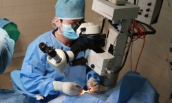 청담눈초롱안과동물병원 “백내장 수술 2,000건 달성..연 300건 이상 시행”