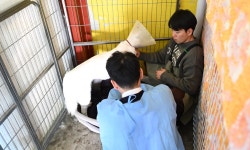 굿모닝펫동물병원, 유기견입양카페 ‘너와함개냥’에서 의료봉사 펼쳐