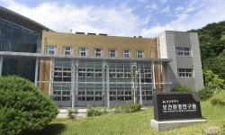 울산 동물병원 내원 개·고양이 324마리 검사해보니..파보바이러스·클로스트리디움 등 확인
