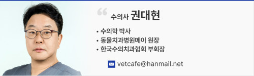 [기고] 반려동물의 통상적 근관치료에 대한 단상 - 권대현