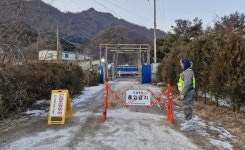 호소문 발표한 수의사들...‘ASF 방역체계, 폐사체 검사 중심으로 바꿔야’