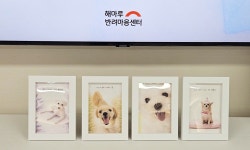 펫로스 심리지원 공간 ‘반려마음센터’ 만든 해마루 동물병원