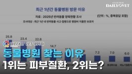 [위클리벳 495회] 동물병원 방문 이유 1위 피부질환, 2위는?