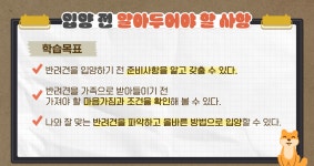 반려동물 입양 전 교육 이수 의무화된다