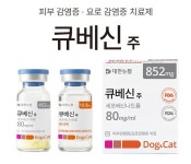 ‘1회 주사로 14일 효과’ 대한뉴팜, 장기 지속형 반려동물 항생제 ‘큐베신 주’ 출시