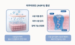 진켐·아베텍, 아토피 임상 기반 동물병원 전용 피부 보습·재생 ‘벳지 아쿠아바이탈 다나겔’ 출시