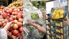 사과·샤인머스캣·감귤 하루씩 할인…이마트 ‘과일데이’