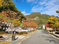 [기획] ‘숲속도시’ 봉화, 단풍 절경 속 즐거운 가을 캠핑 성지로 부상 중!