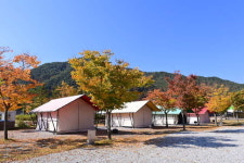 [기획] ‘숲속도시’ 봉화, 단풍 절경 속 즐거운 가을 캠핑 성지로 부상 중!