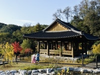 경북 봉화군, 한복을 입고 정자에 올라 8도 풍류를 즐긴다