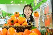 [포토] 농협유통 달콤한 대봉시 드시고 건강한 겨울 보내세요