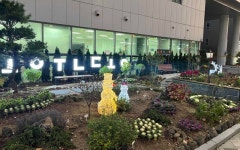 세종고운한글정원, 겨울밤 밝히는 경관조명 설치 완료
