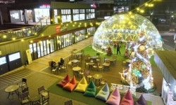 [액티브 시니어] 추위 걱정 없는 서대문 홍제 카페폭포 오세요