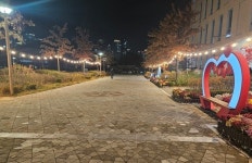 세종시 새롬동서 “반짝이는 따뜻한 연말 보내세요”