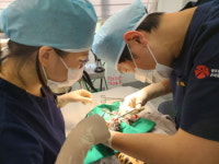 광주 우치동물원, ‘천연기념물 동물치료소’ 지정