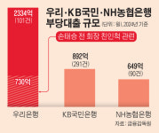 금감원, 우리·KB국민·NH농협은행서 지난해 부당대출 3875억원 적발
