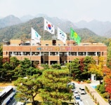 과천시, 청년을 위한 인턴십 프로그램 참가자 모집 중