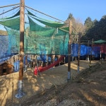 사천시, 케이블카 자연휴양림 내 네트포레 시범운영