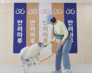 경기도 여주 반려마루, 2025년부터 정규 반려동물 교육