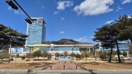 26년도 의대증원 발표 시 ‘전남도 국립의대 신설 방침’ 포함해라