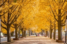 “아산시 힐링명소 곡교천···최적의 휴식처로 거듭나”