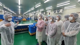 “삼각김밥 시간당 3300개씩 생산”…이마트24 대학생 MD서포터즈, FF공장 견학