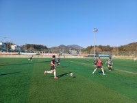 고성군, 동계전지훈련유치로 지역경제 훈풍