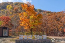 [비바 2080] 3대가 볼 만한 공연 축제… 남원 광한루원 금요 국악공연 등