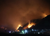 이철우 경북도지사, 한덕수 권한대행과 영덕군 산불 피해 현장 점검
