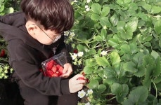 세종시 행복한농장, 지역 아동 위해 따뜻한 나눔