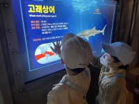 씨라이프 부산아쿠아리움, 다문화가족 초청 문화 체험 행사 성료