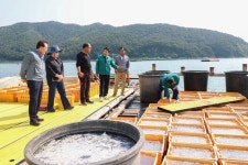고성군, 해파리 피해 어업 현장 방문 및 대응 방안 모색