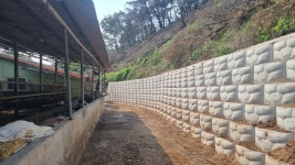 의성군, 산불 피해지 복구로 장마철 산사태 대비