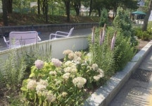 수원시, 시민들을 위한 아름다운 도시 경관 조성